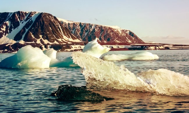 NASA предупредило человечество о катастрофе: жуткие цифры