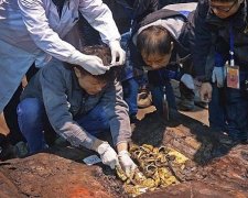 Китайські археологи відкопали золоті копита