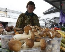 Як уникнути отруєння грибами: поради, які вас врятують