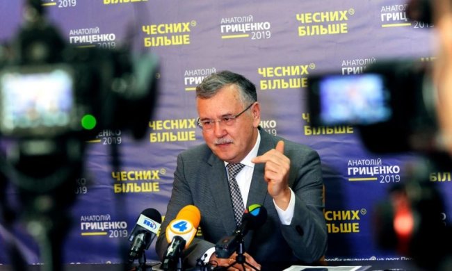 Закон про обмеження прав президента: Гриценко вщент розкритикував ініціативу "Самопомочі"