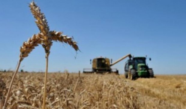 Україна нарощуватиме експорт до ЄС сільськогосподарської продукції 