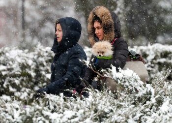 снегопад фото: reuters
