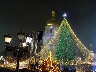 Ялинка. Фото: Вгороде.