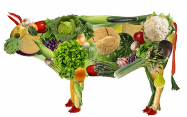 Вегетаріанство: плюси і мінуси зміни раціону