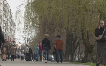 Цветение деревьев. Фото: скрин youtube