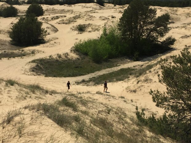 Олешківські піски, фото:tsn