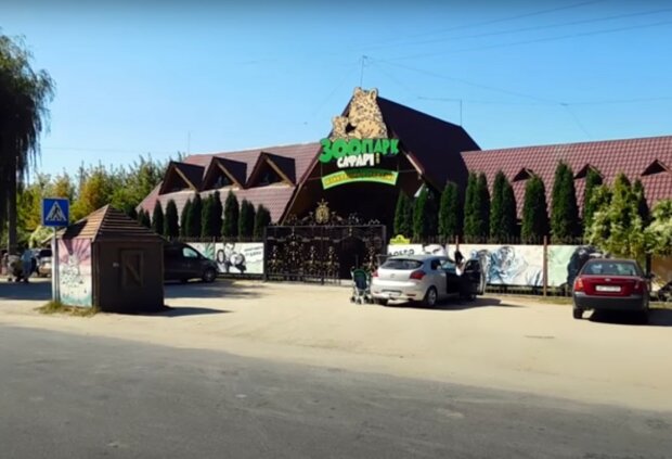 зоопарк "Сафарі", скріншот з відео