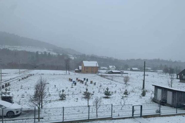 Львовщину укрыло снегом перед Пасхой: "Благая весть"