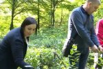 На Закарпатье восстанавливают чайную плантацию, скриншот