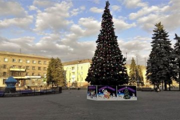 Життя рідного міста Януковича в окупації (фото)