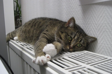 Отопление, фото: pxhere.com