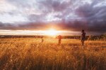 Ветер, фото pxhere
