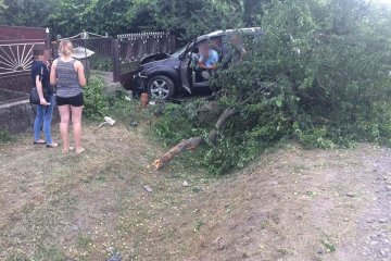 На Закарпатті обдовбаний адвокат вбив дитину, дика історія поставила на вуха всю Україну