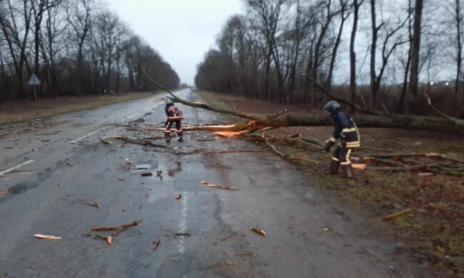 Поваленные деревья и затопленные дороги - штормовой ветер и ливень натворили беды в Украине