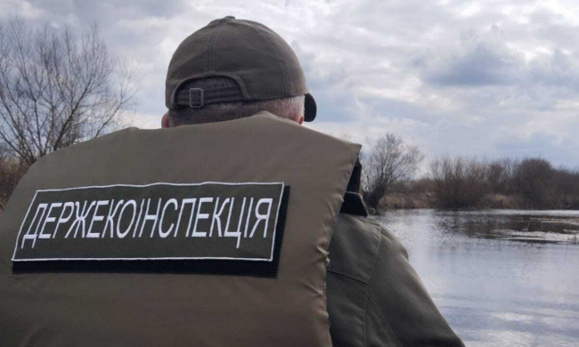 Госэкоинспекция