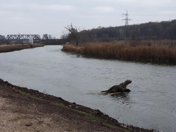 - За три десятиліття зникло майже десять тисяч річок (Znaj.ua) - rai.ua