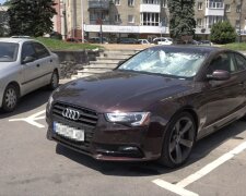 Автомобіль, спека: фото скрін Ютуб