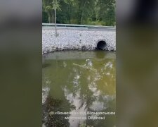 Каналізаційний стік у затоці Оболонь біля Вільнюського мосту