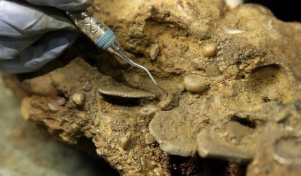 Американський археолог натрапив на незлічені піратські скарби