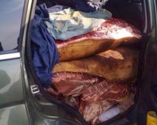 СБУ затримали три вантажівки, що везли продукти для бойовиків (фото)
