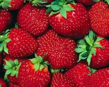 Вчені знайшли "молодильні" продукти