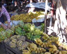 В Японії вивели банан для ледарів