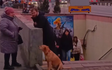 Украинцы, подземный переход, кадр из видео