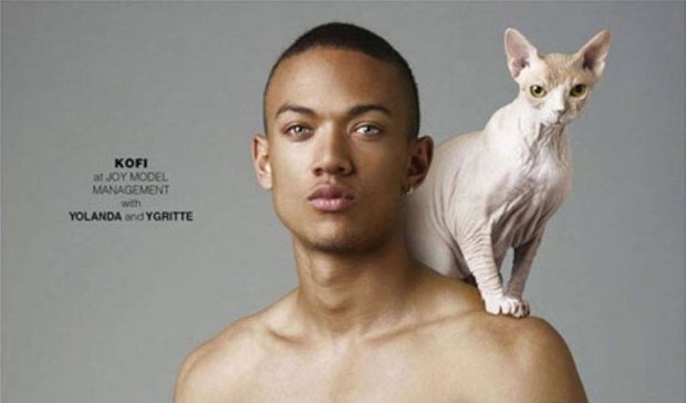 Мужчины прорекламировали себя с котами (ФОТО)