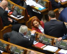 Соратниця Тимошенко змінила недорогу сумку на Dolce & Gabbana за десятки тисяч
