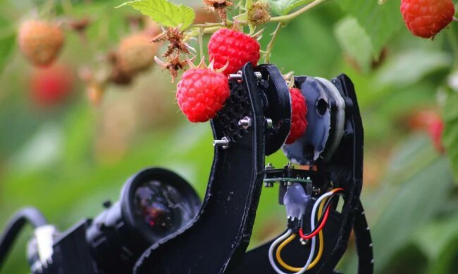 Робот-збирач ягід, telegraph