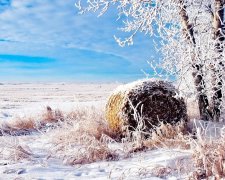 Сегодня народный праздник Григорий Летоуказатель 23 января: поверья и приметы