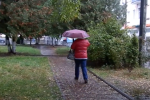 Осіння погода. Фото: скрін youtube