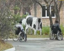 Хворим і нещасним жінкам в інтернаті робили стерилізацію, як кішкам: "Інакше станеш овочем"