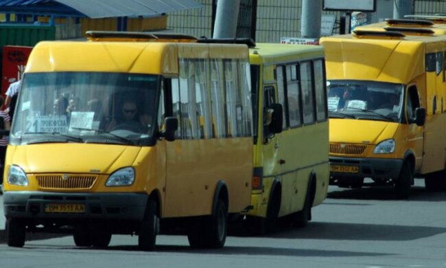 "Скотовозы" из Славянска напомнили о всеукраинской проблеме