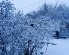 Україну засипає снігом