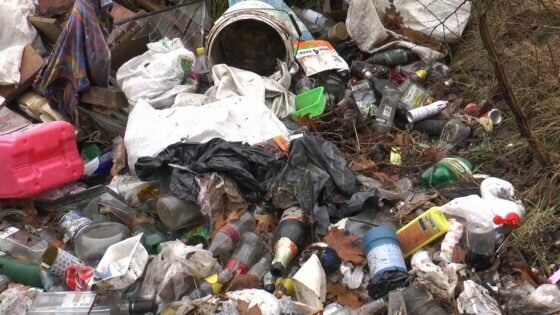 Сміття навколо села на Прикарпатті: фото: Суспільне