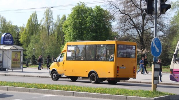 В Запорожье осатаневший маршрутчик избил парня с инвалидностью, горько и стыдно: "Понабирали м*даков"
