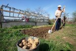 Человек, фото из свободных источников