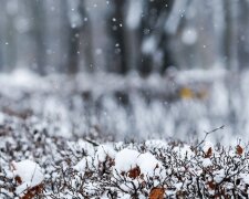 Харків заклякне під крижаним душем 12 лютого, де ваші парасольки