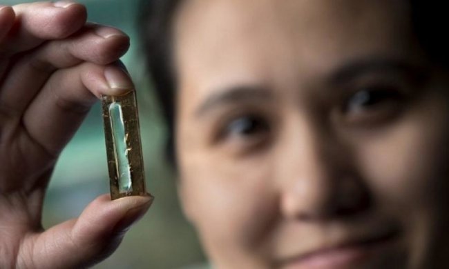 Вчені створили "вічну" батарею для ґаджетів