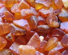 Житомирские бандиты стреляли в местных жителей из-за янтаря