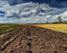 Половину держземель захопили самовільно