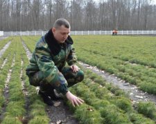 День работника леса: хранители украинской природы отмечают профессиональный праздник