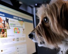 Користувачі Facebook створили інструкцію для біженців з "ВКонтакте"