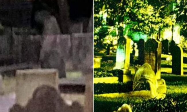 Обидва знімки Сью Ховард Харді