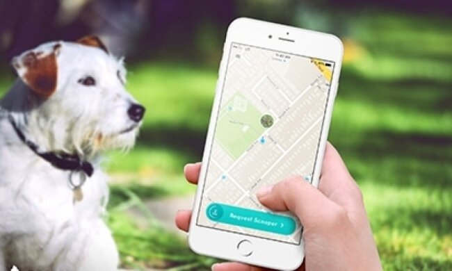 Мобильное приложение поможет убирать за собаками
