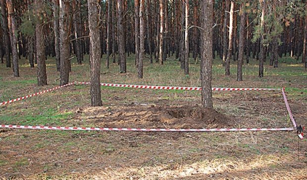 Львовские грибники нашли 30 артиллерийских снарядов
