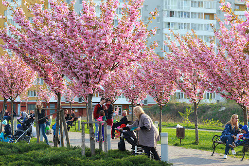 Весна, фото: lviv1256.com