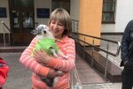 У Запоріжжі судять шкуродера, який штовхнув собаку під потяг