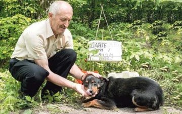 На Волині з'явилася місцева Хатіко. Трагічна історія